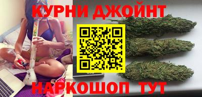 гашик Будённовск