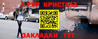 гашик Будённовск