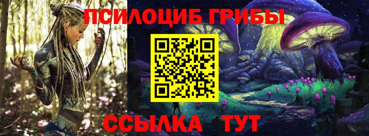 Галлюциногенные грибы GOLDEN TEACHER  Вход с VPN  Новочеркасск 